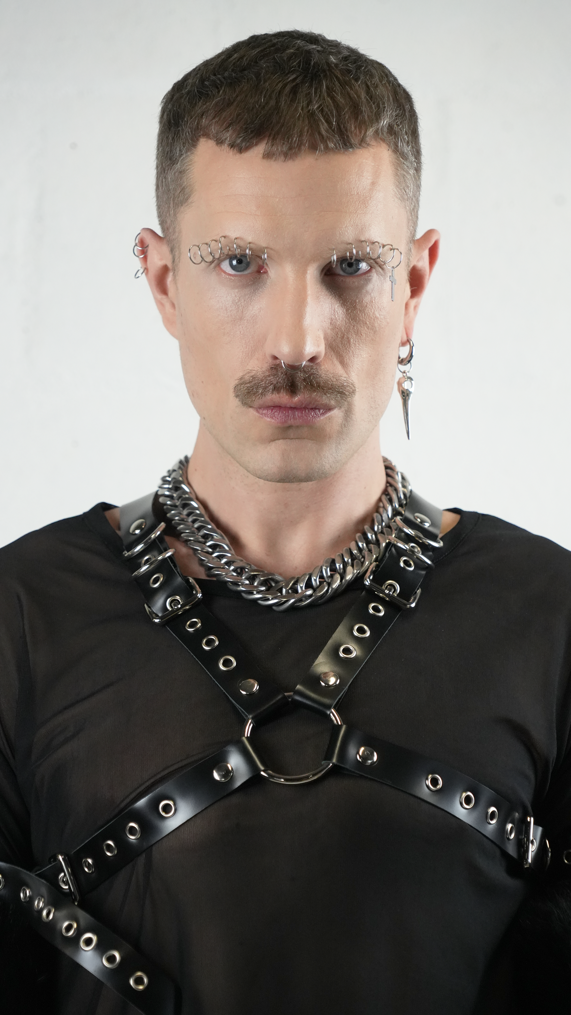 Harness "ANI" - The Loussine