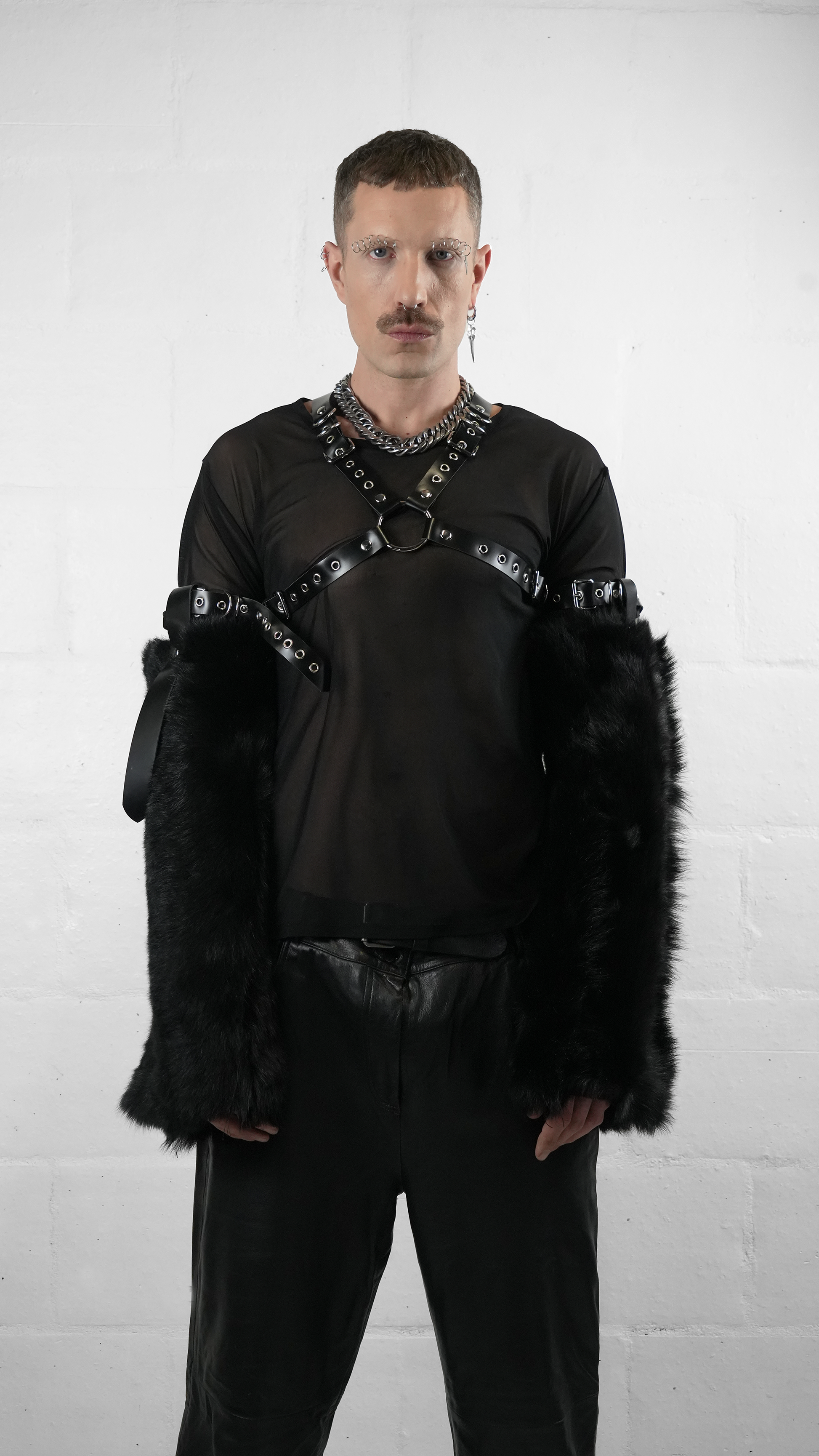 Harness "ANI" - The Loussine