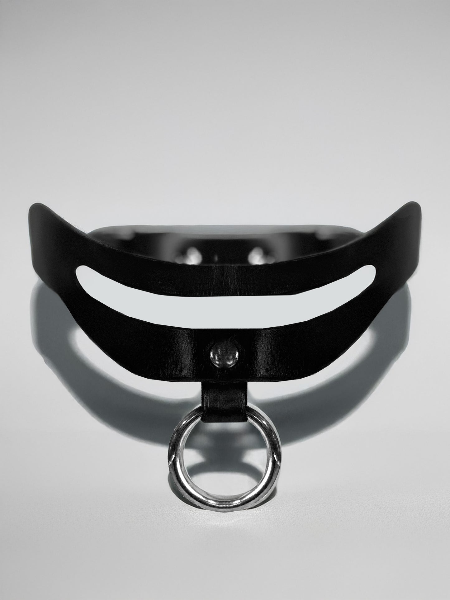 Harness "Everything"