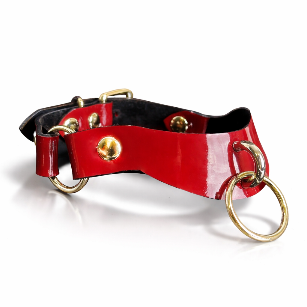 Red leather collar with gold hardware on a white background